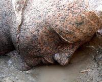 20060206171648-amenhotep2.jpg