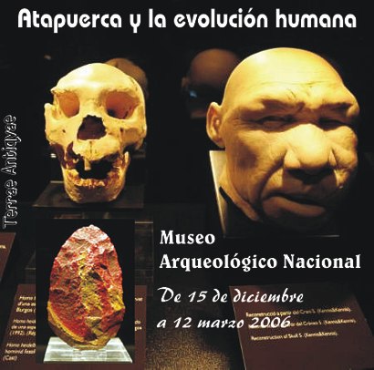 Expuesto un cráneo de Atapuerca de 400.000 años, único en el mundo