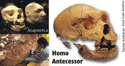 El 'Homo antecessor' de Atapuerca podría no ser el antecesor común de neandertales y humanos actuales