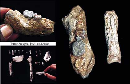 Etiopía. Se encontraron los fragmentos de por lo menos nueve homínidos primitivos de entre 4,5 y 4,3 millones de años de antigüedad