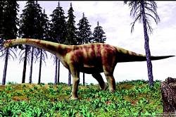 Turiasaurus Riodevensis 03